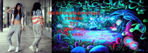 стафф Аркадак