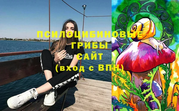 винт Балахна