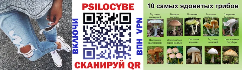 Псилоцибиновые грибы мицелий  закладка  Мариинский Посад 